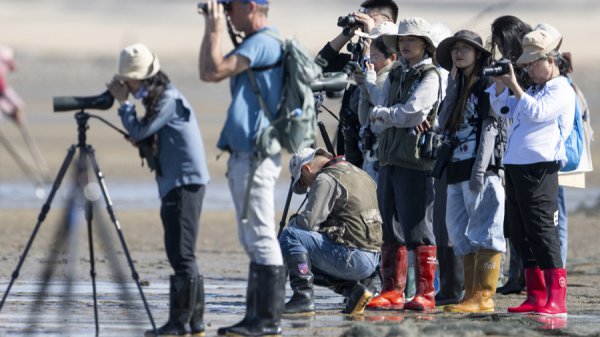 “不惊扰”的距离丨新民杂文